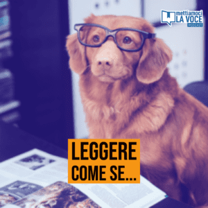 leggere